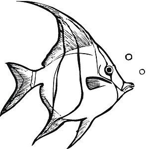 angelfish-3-coloring-page.jpg