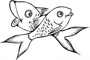 two-goldfishes-coloring-page.jpg
