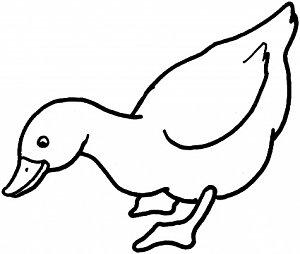 duck-1-coloring-page.jpg
