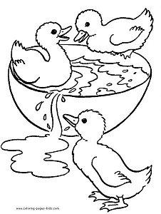 duck-coloring-page-11.jpg