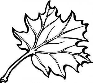 leaf-coloring-page.jpg