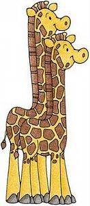 giraffes-1-.jpg