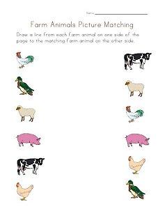 farm-animal-matching.jpg
